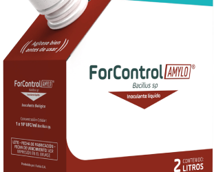 ForControl Amylo