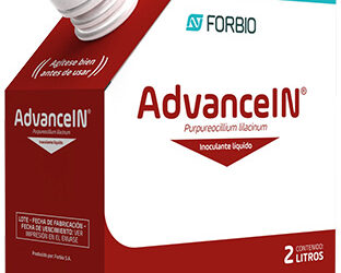 AdvanceIn