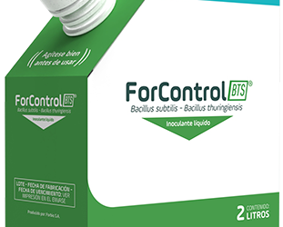 ForControl BTS
