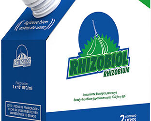 Rhizobiol
